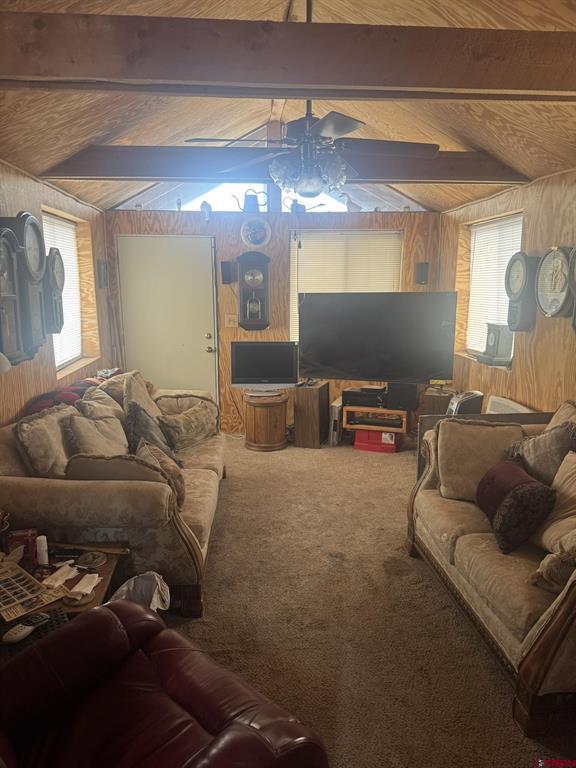 114 Raccoon Drive Pagosa Springs CO 81147