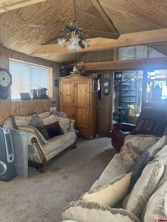 114 Raccoon Drive Pagosa Springs CO 81147