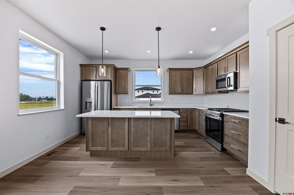 3033 Cook Drive Montrose CO 81401