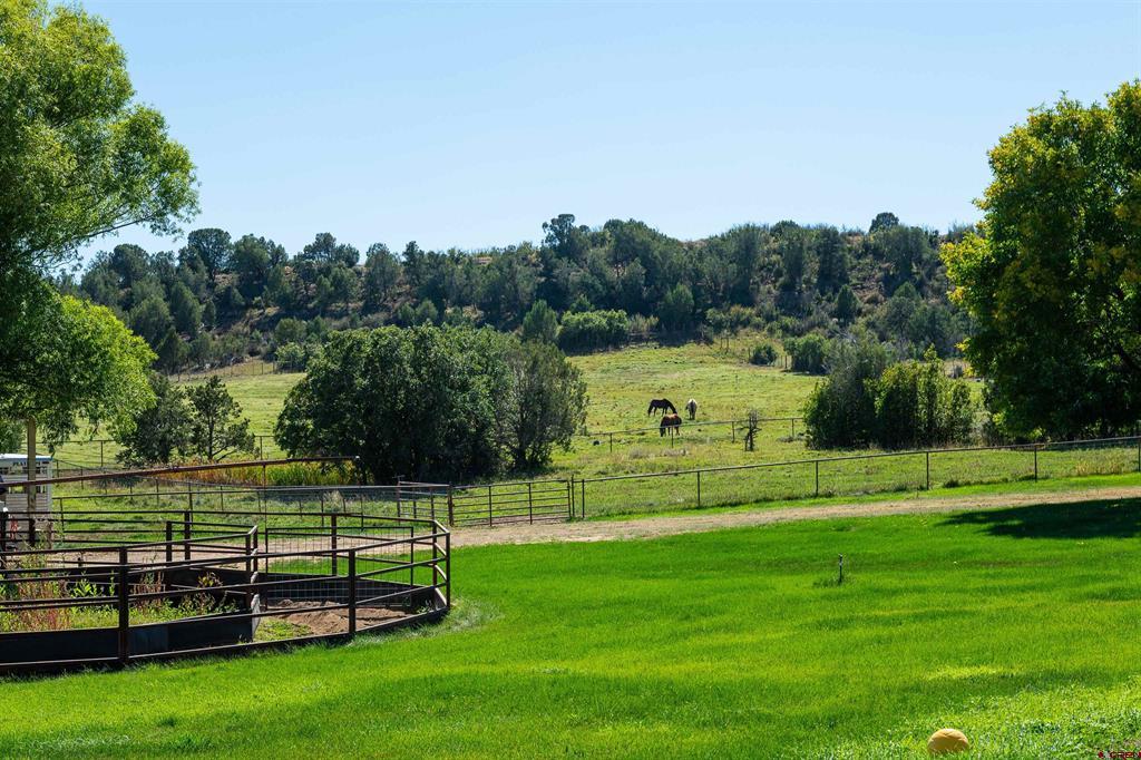 543 Silver Hills Road Bayfield CO 81122