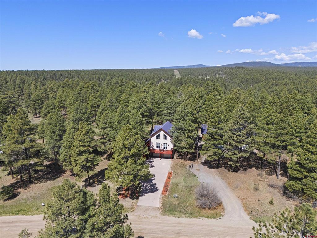 523 Dutton Drive Pagosa Springs CO 81147