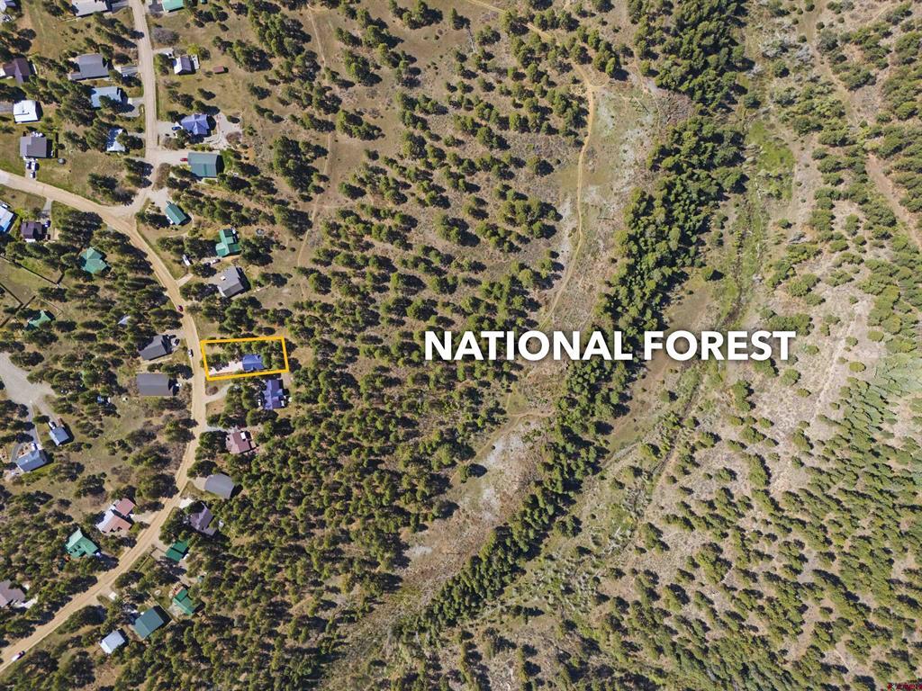 523 Dutton Drive Pagosa Springs CO 81147