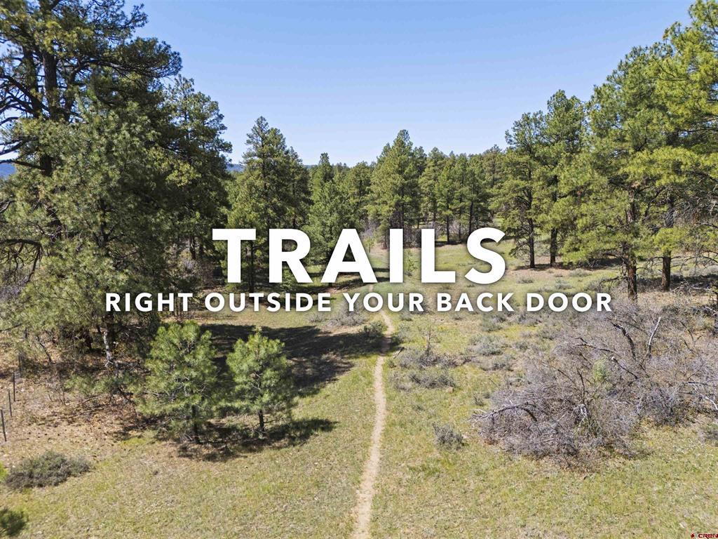 523 Dutton Drive Pagosa Springs CO 81147