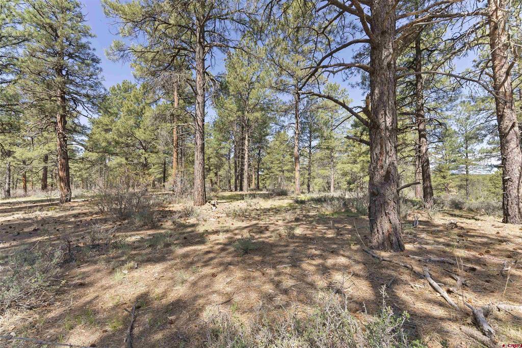 523 Dutton Drive Pagosa Springs CO 81147