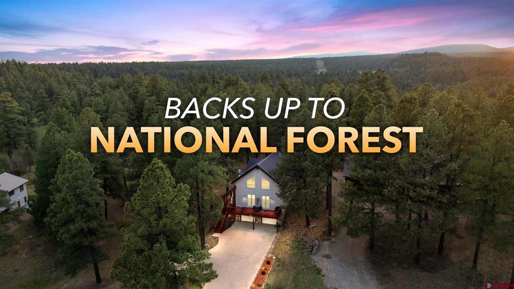 523 Dutton Drive Pagosa Springs CO 81147