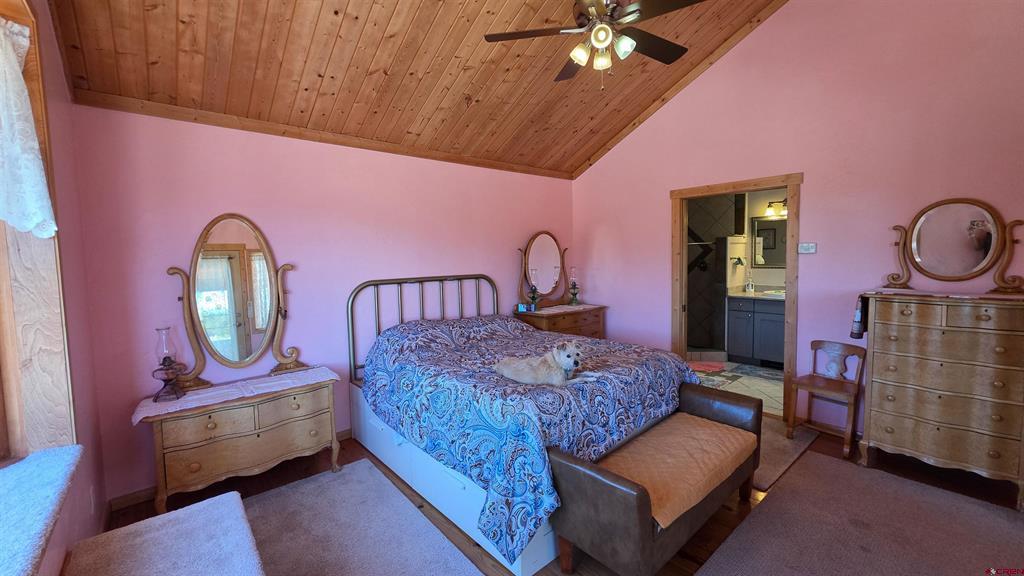 391 Wolf Creek Road South Fork CO 81154