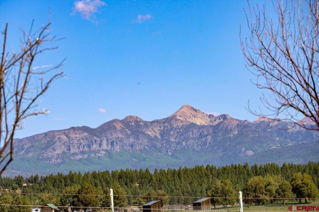 796 Tierra Del Oro Drive Pagosa Springs CO 81147