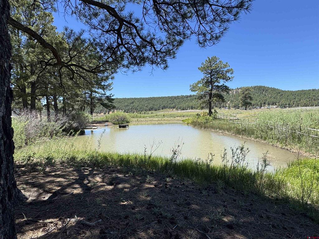 796 Tierra Del Oro Drive Pagosa Springs CO 81147