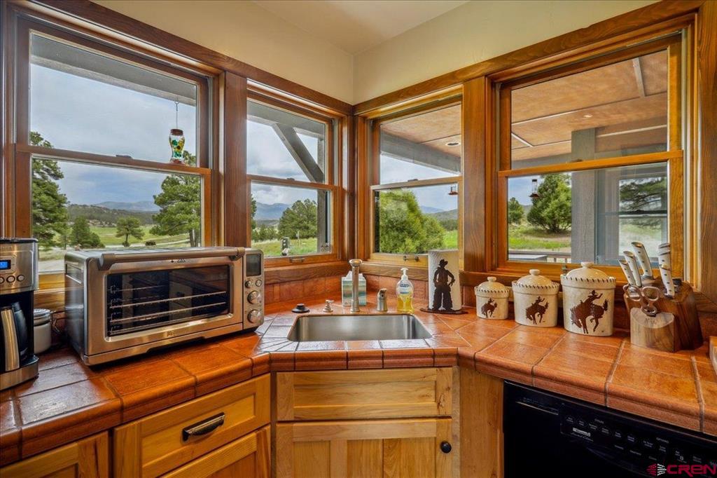 796 Tierra Del Oro Drive Pagosa Springs CO 81147