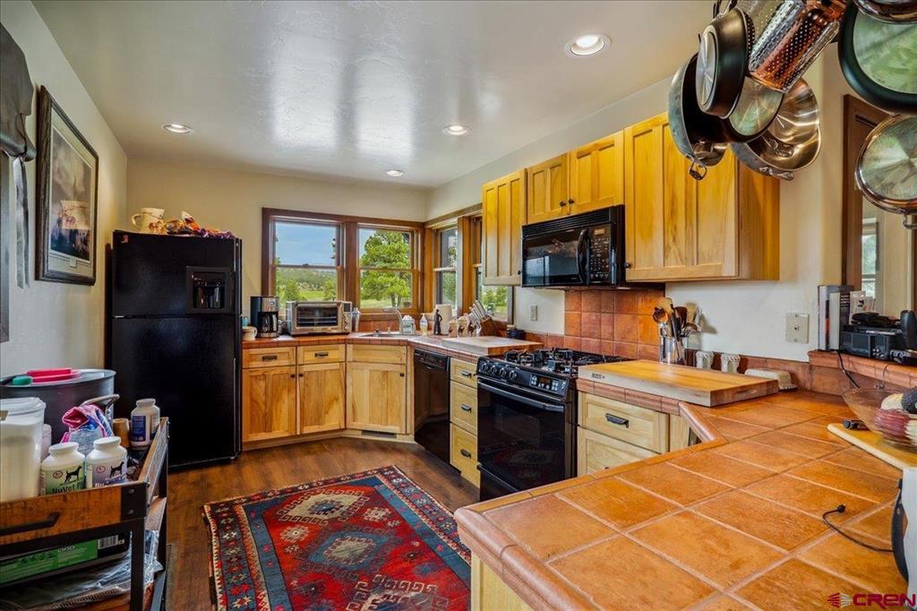 796 Tierra Del Oro Drive Pagosa Springs CO 81147