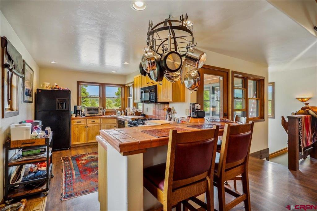 796 Tierra Del Oro Drive Pagosa Springs CO 81147