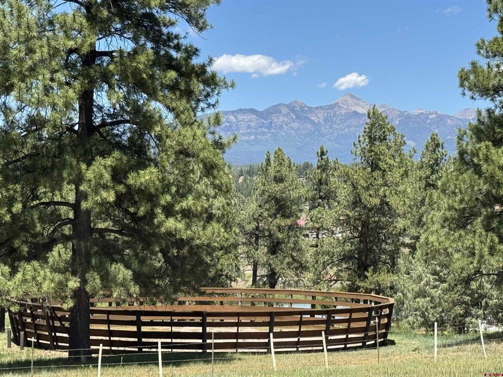 796 Tierra Del Oro Drive Pagosa Springs CO 81147