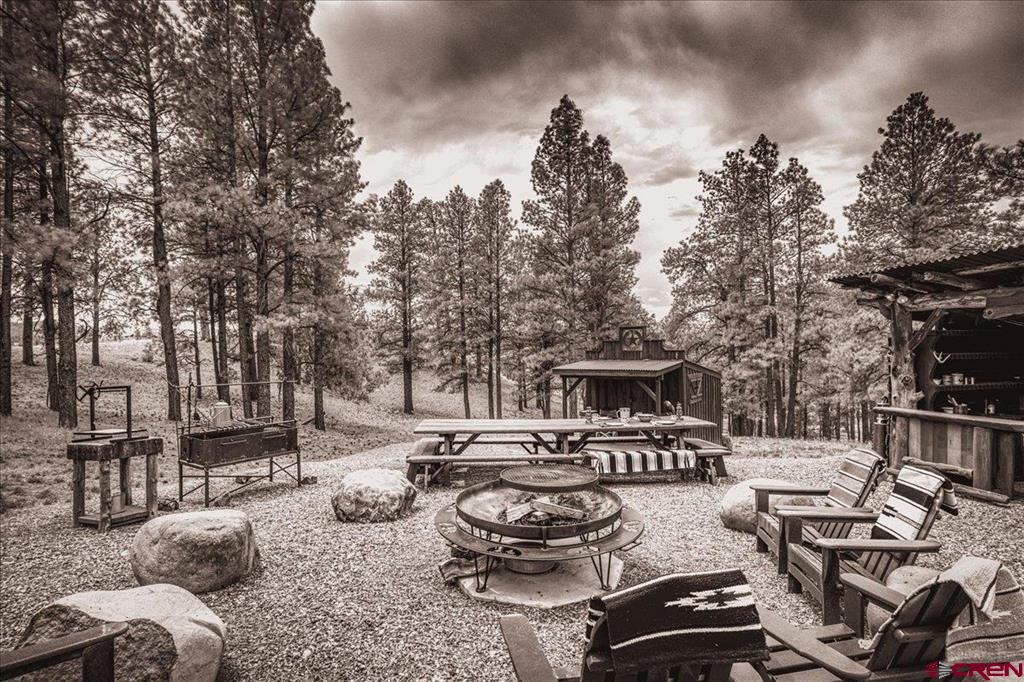 796 Tierra Del Oro Drive Pagosa Springs CO 81147