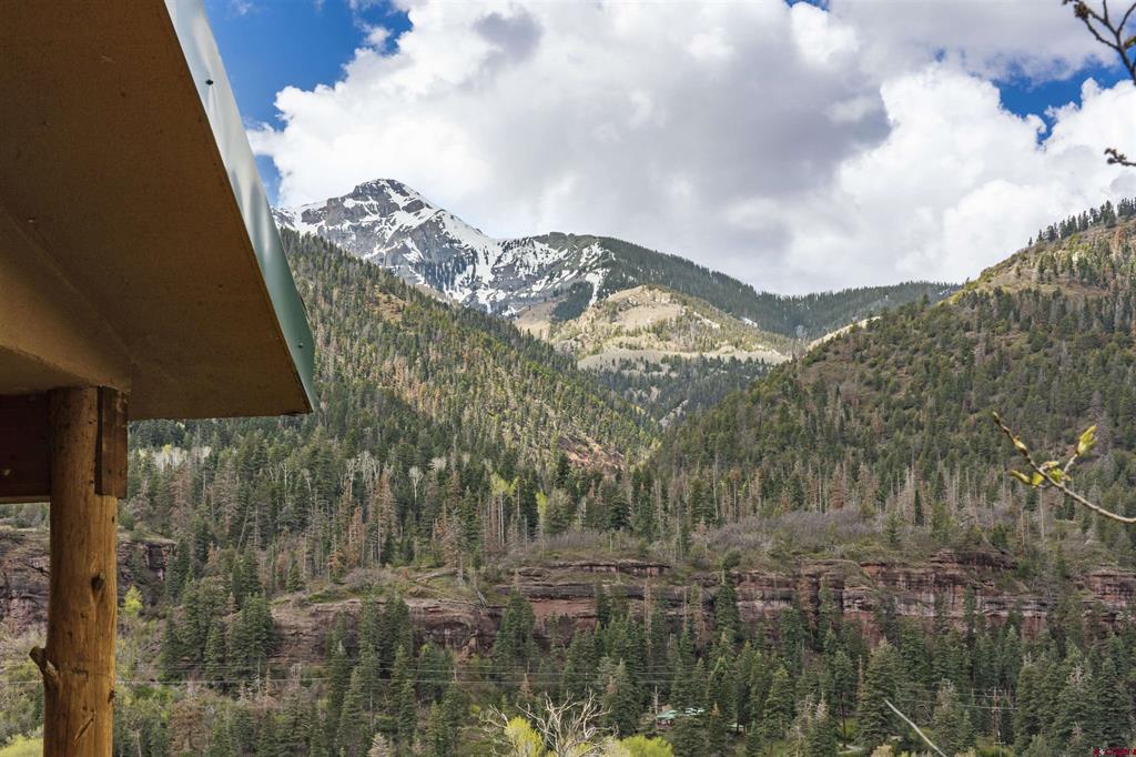 94 County Road 14 Ouray CO 81427