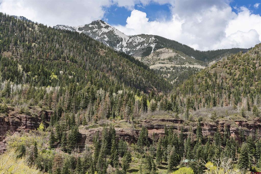 94 County Road 14 Ouray CO 81427