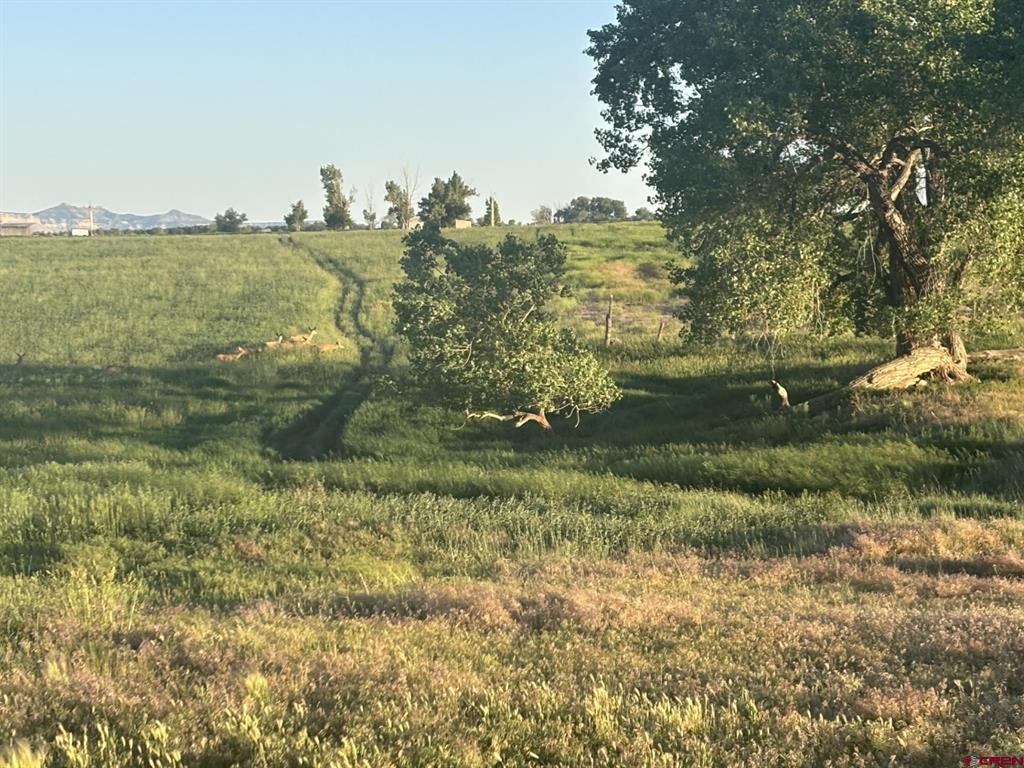16513 Road 20 Cortez CO 81321