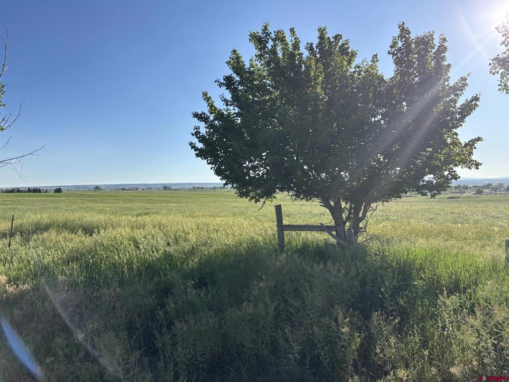 16513 Road 20 Cortez CO 81321