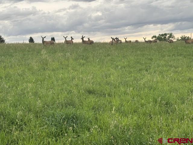 16513 Road 20 Cortez CO 81321