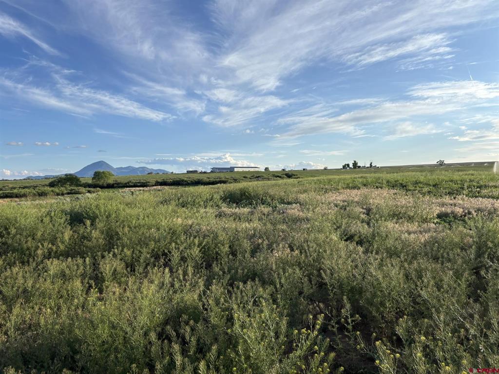 16513 Road 20 Cortez CO 81321