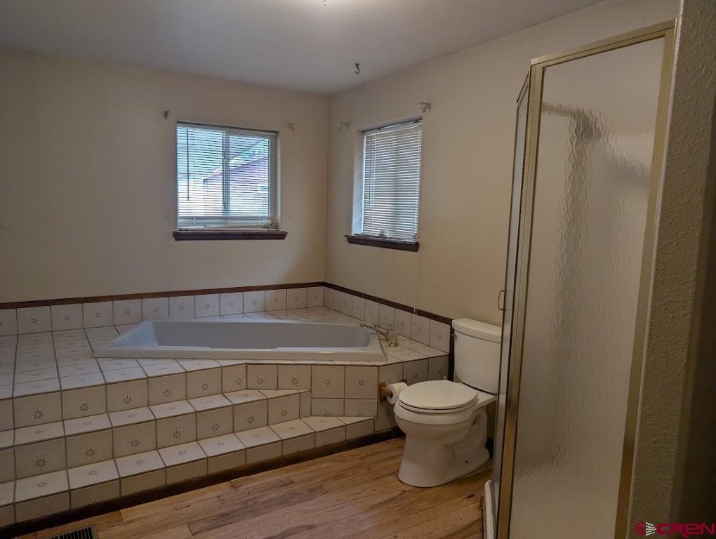 25 Dragoon Court Pagosa Springs CO 81147