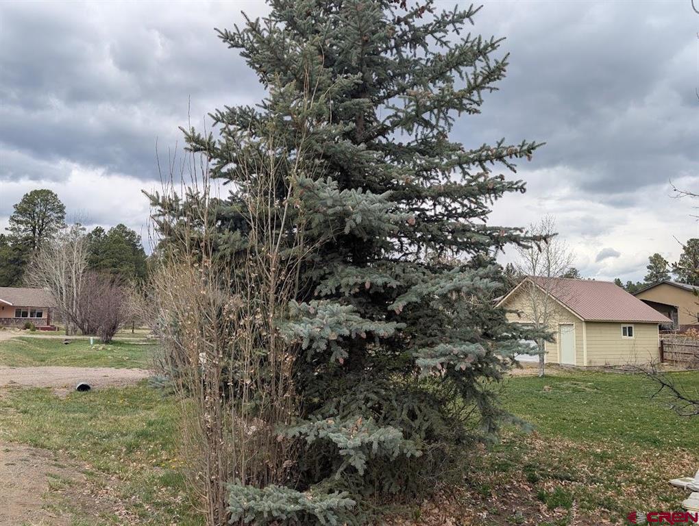 25 Dragoon Court Pagosa Springs CO 81147