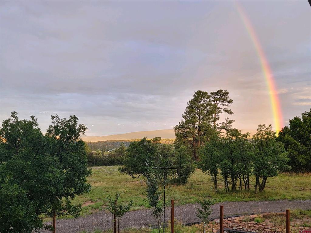 25 Dragoon Court Pagosa Springs CO 81147