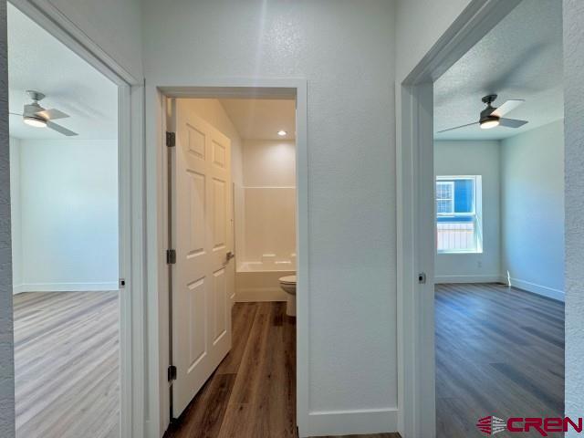 1911 Edison Avenue Alamosa CO 81101
