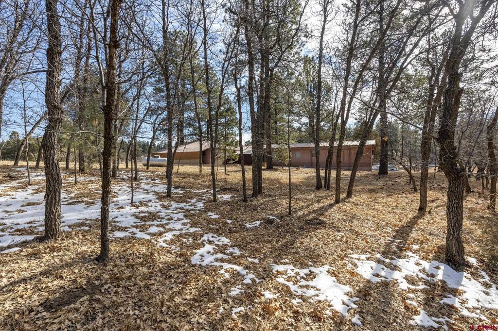 1129 Meadow Road Durango CO 81303