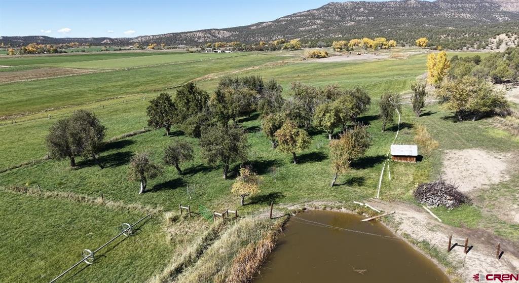3115 Cr 973 Ignacio CO 81137
