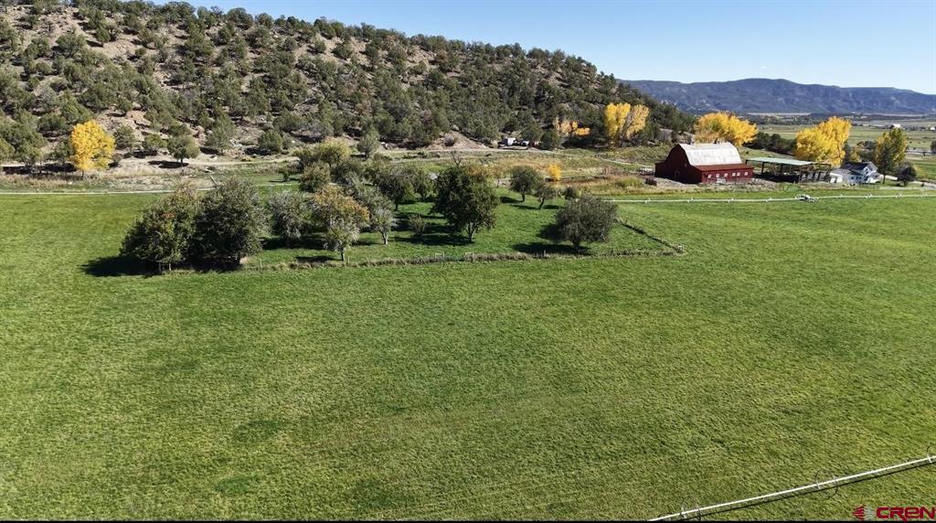 3115 Cr 973 Ignacio CO 81137