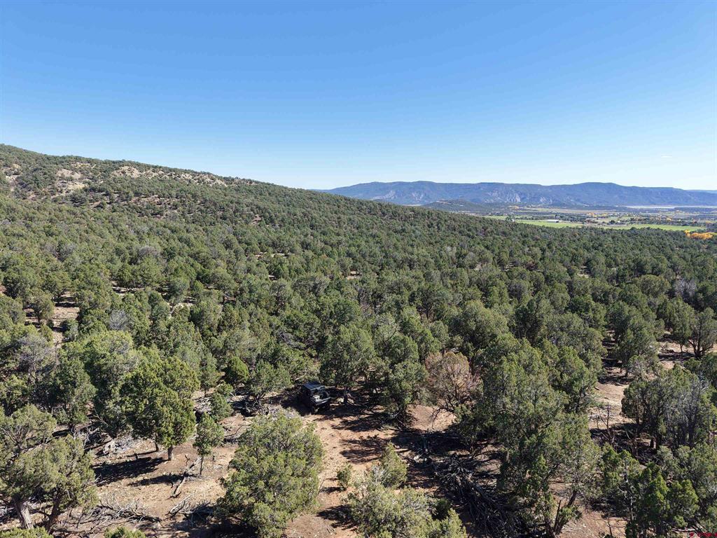 3115 Cr 973 Ignacio CO 81137