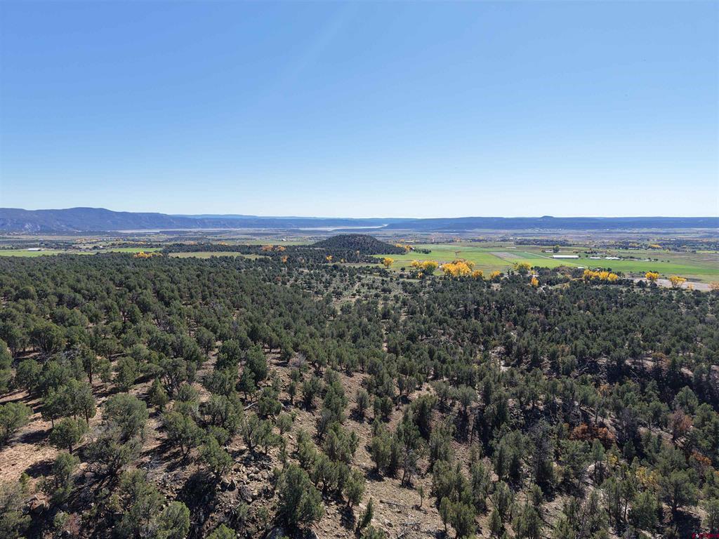 3115 Cr 973 Ignacio CO 81137