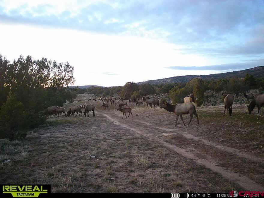 3115 Cr 973 Ignacio CO 81137