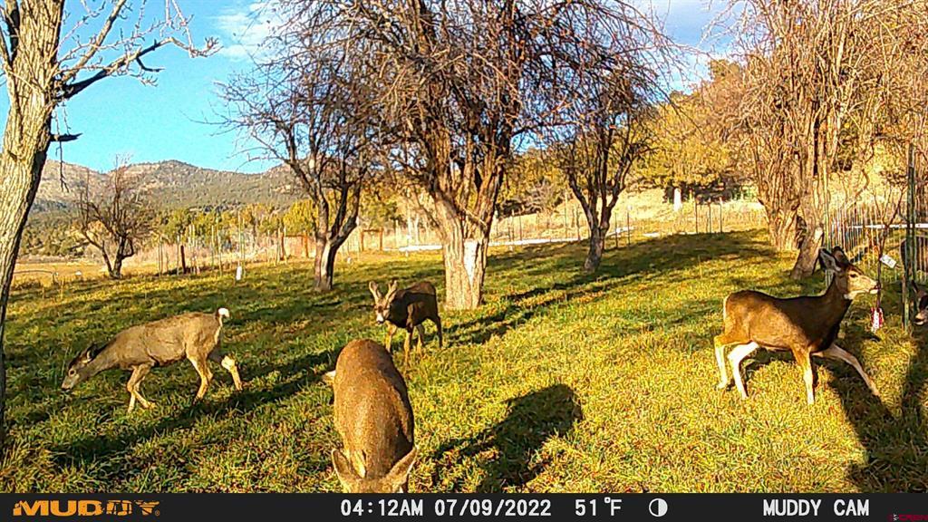 3115 Cr 973 Ignacio CO 81137