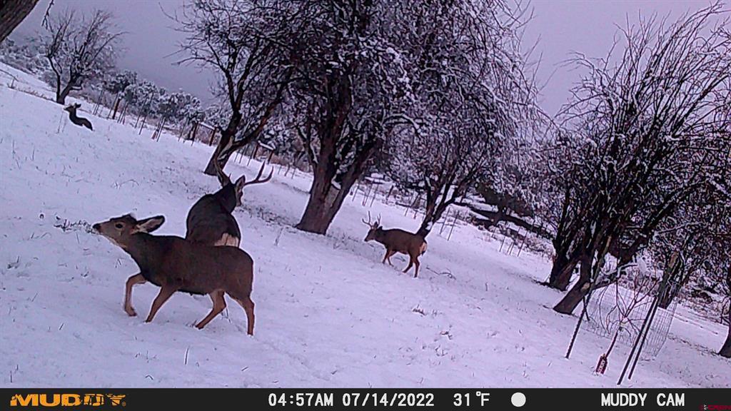 3115 Cr 973 Ignacio CO 81137
