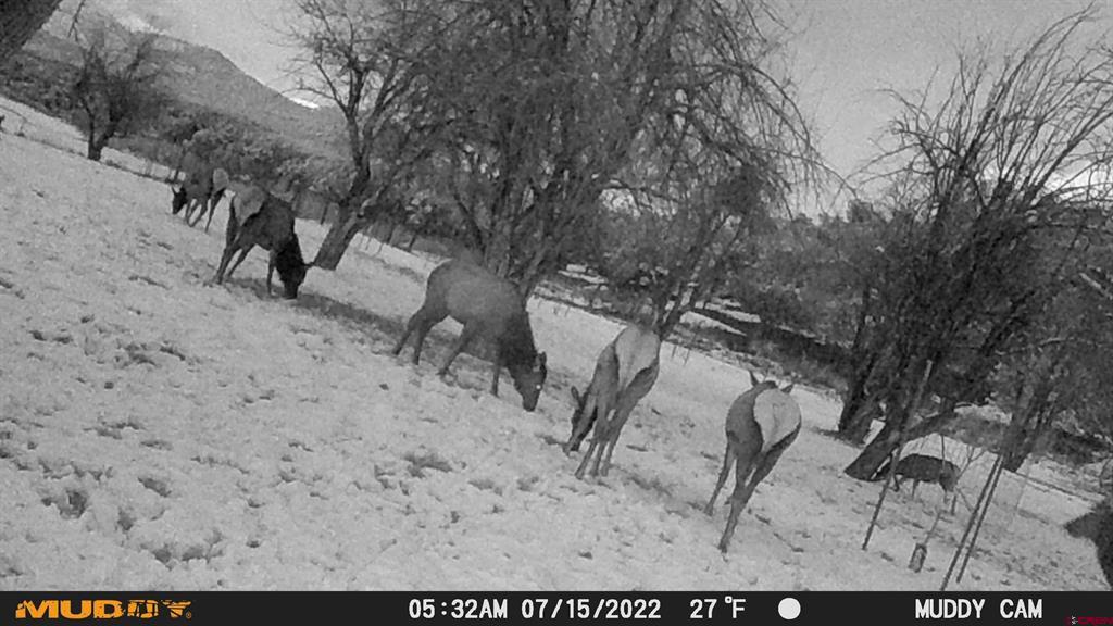 3115 Cr 973 Ignacio CO 81137