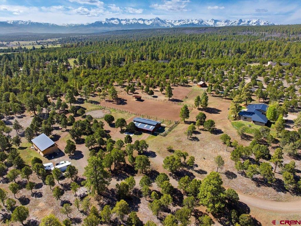 423 Wisteria Drive Montrose CO 81403