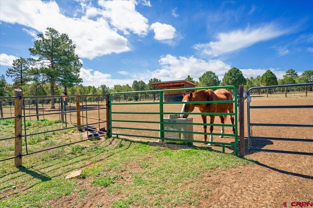 423 Wisteria Drive Montrose CO 81403
