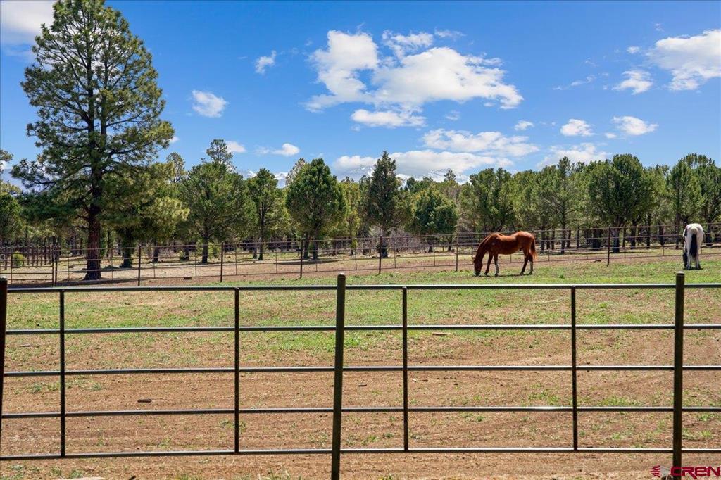 423 Wisteria Drive Montrose CO 81403