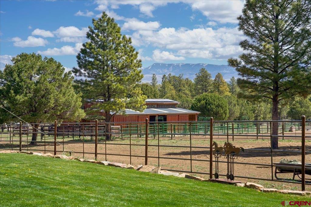 423 Wisteria Drive Montrose CO 81403