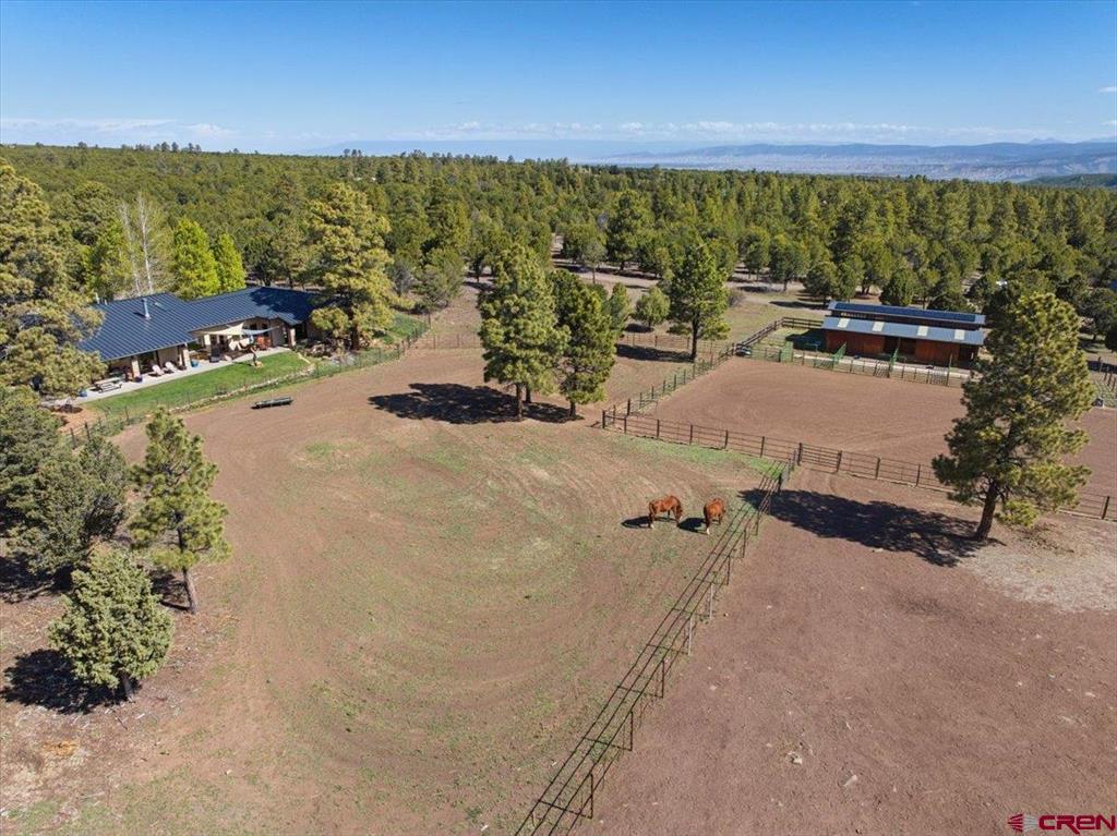 423 Wisteria Drive Montrose CO 81403