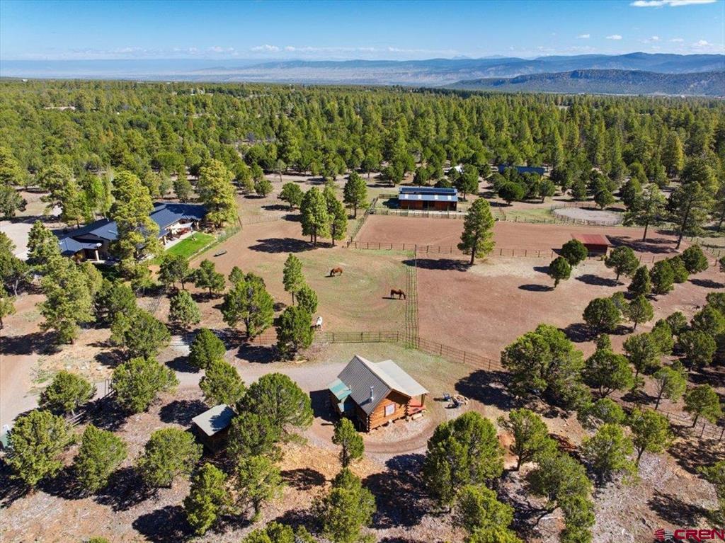 423 Wisteria Drive Montrose CO 81403