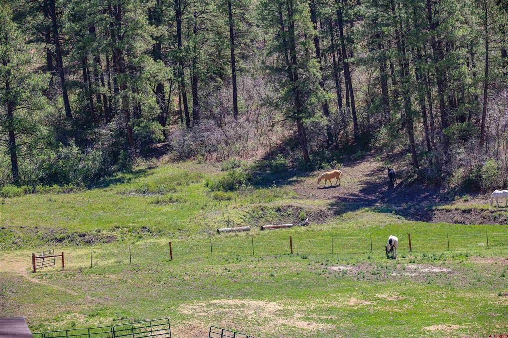 26259 W Us Highway 160 Pagosa Springs CO 81147