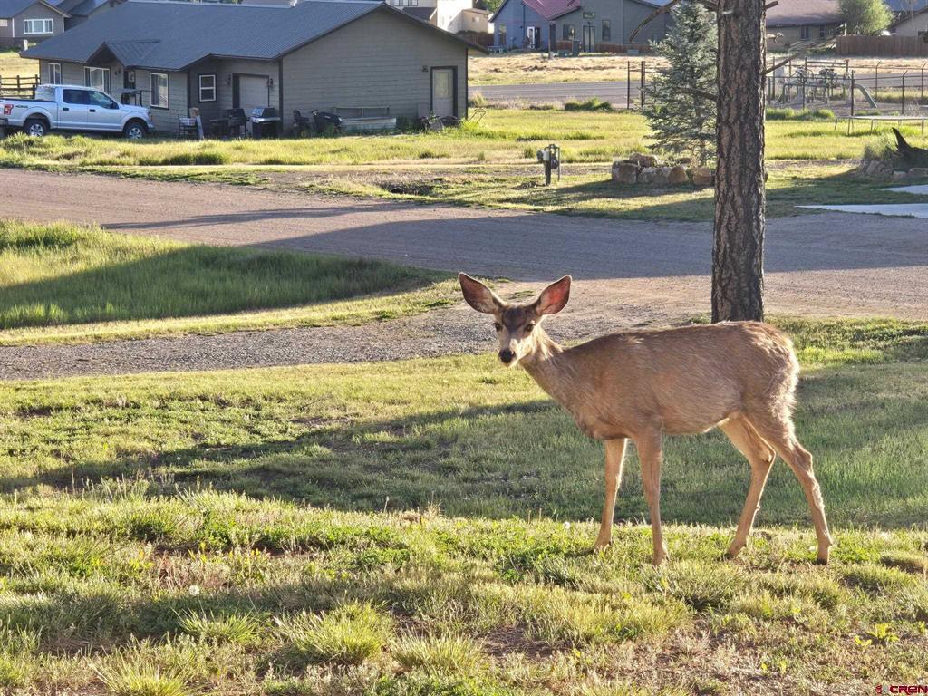 543 Midiron Avenue Pagosa Springs CO 81147
