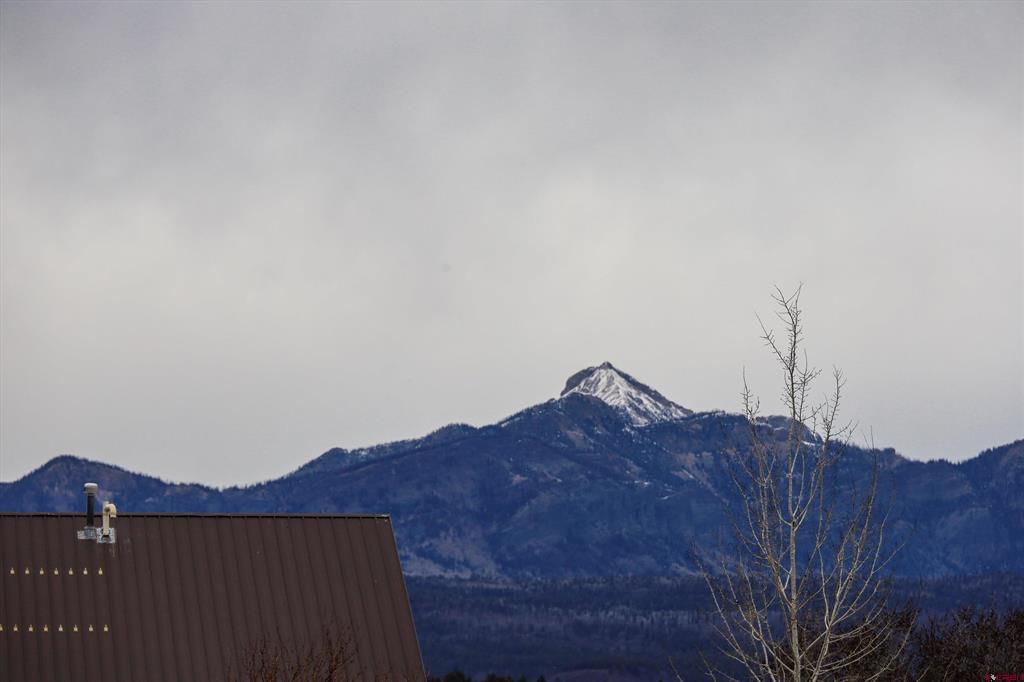 223 Driftwood Drive Pagosa Springs CO 81147