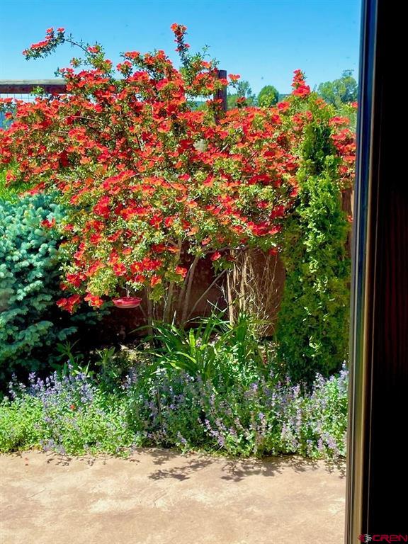 966 County Road 977 Arboles CO 81121
