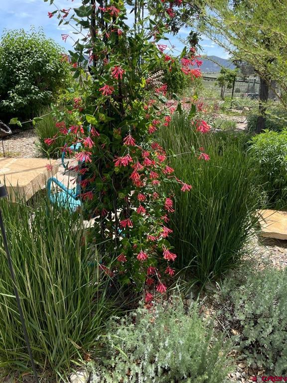 966 County Road 977 Arboles CO 81121