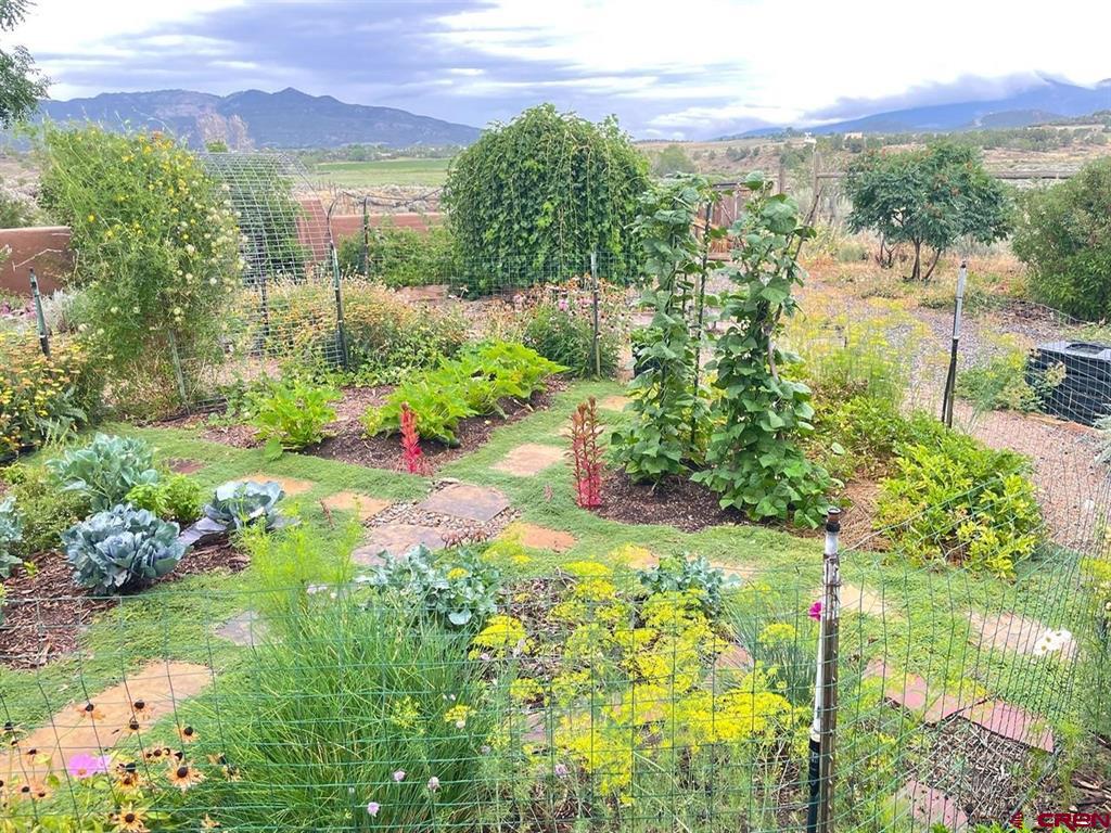966 County Road 977 Arboles CO 81121