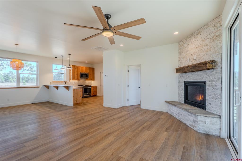 207 Domicile Circle Pagosa Springs CO 81147