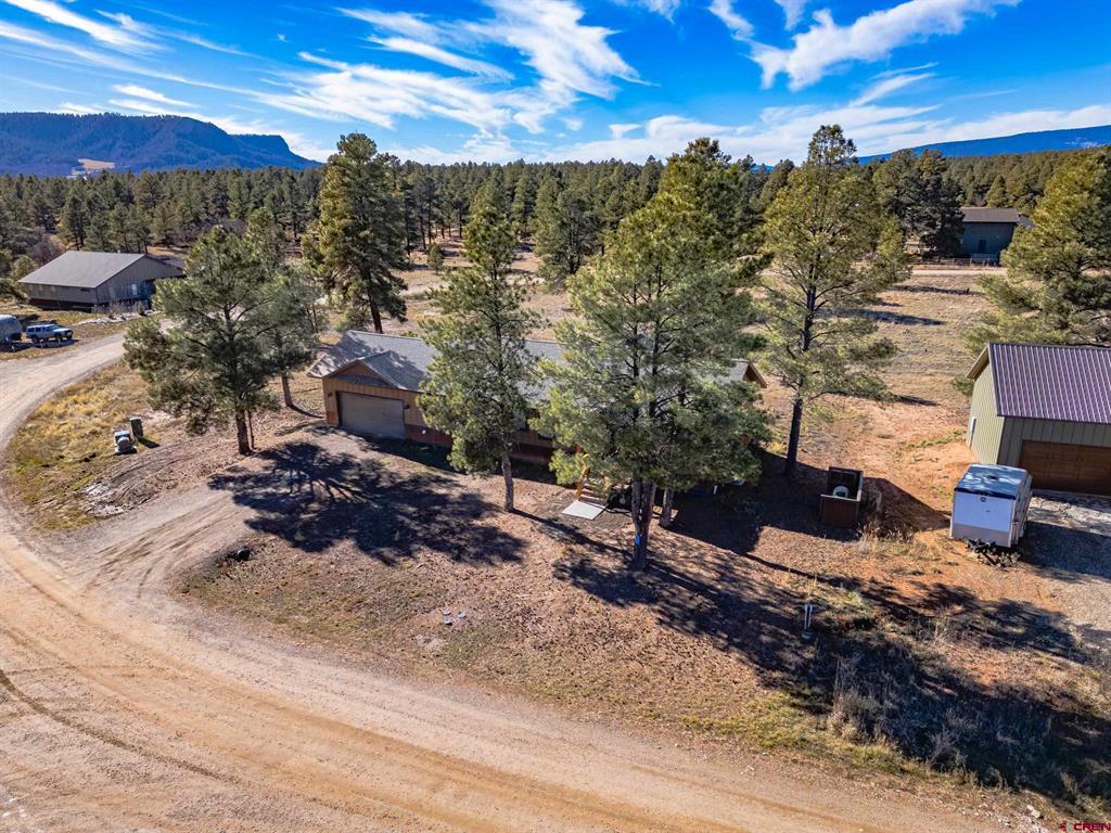 207 Domicile Circle Pagosa Springs CO 81147